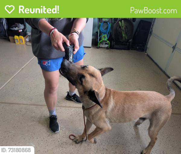 Reunited Male Dog last seen Spear Creek Church and Sandy Haven Elgin, SC 29045, Richland County, SC 29045