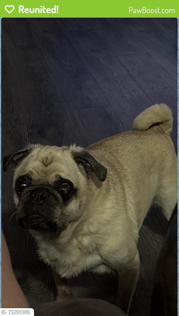 Reunited Male Dog last seen Arabian, Salem, OR 97317