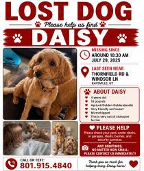 Lost Female Dog last seen Thornfeild and Windsor, Kaysville, UT 84037