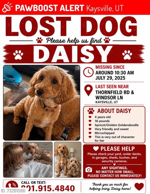 Lost Female Dog last seen Thornfeild and Windsor, Kaysville, UT 84037