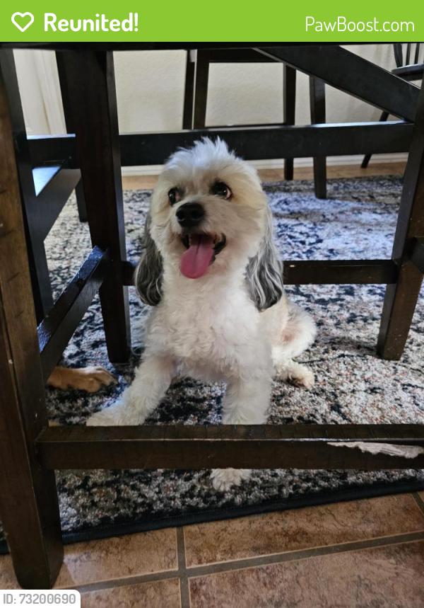 Reunited Male Dog last seen Fisherman Prt, Converse, TX 78109