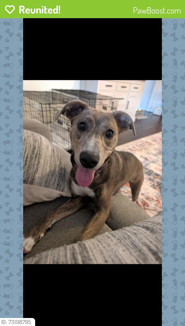 Reunited Female Dog last seen Skinner Road Richmond TX, Fort Bend County, TX 77406