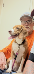 Reunited Female Dog last seen Near Johnston Dr, Pineville, NC 28134