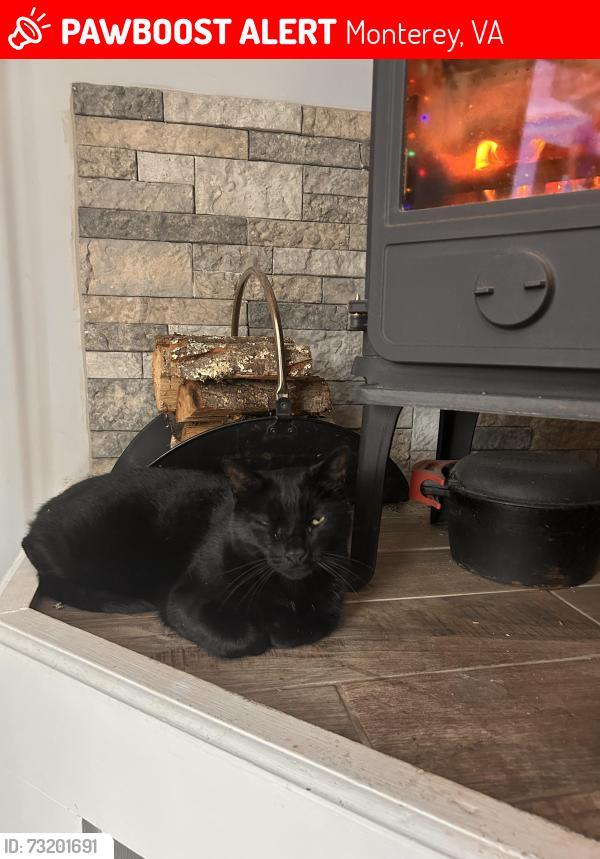 Lost Male Cat last seen monterey va, Monterey, VA 24465
