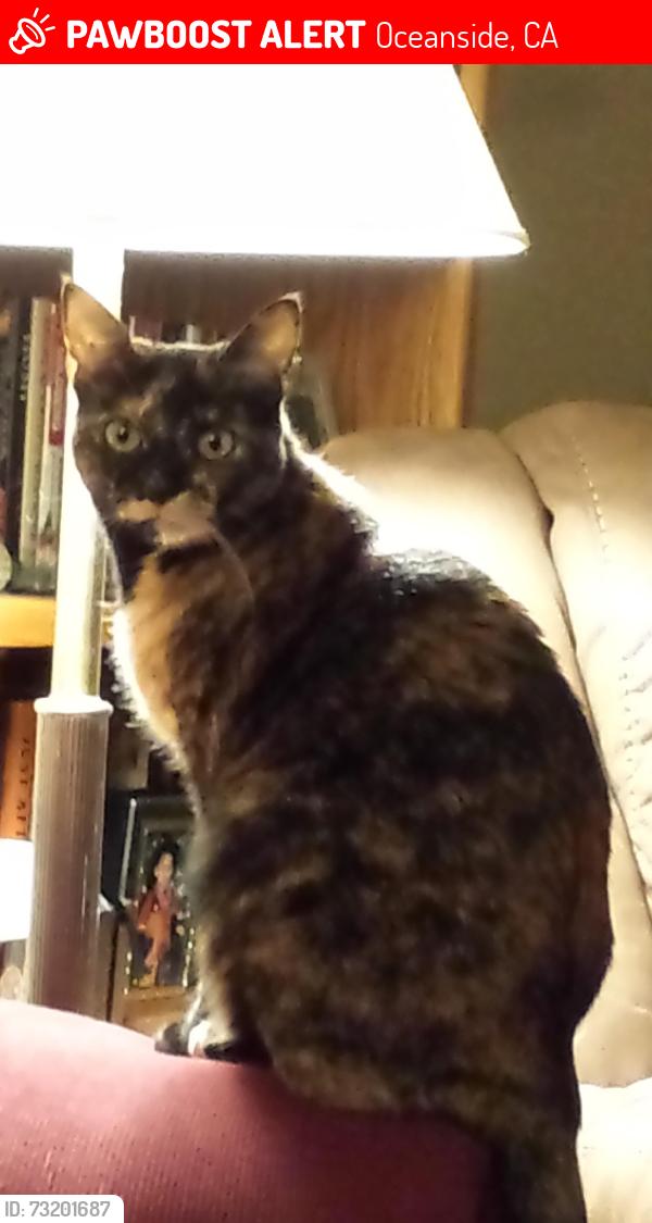 Lost Female Cat last seen Peacock Hills, Oceanside, CA 92056