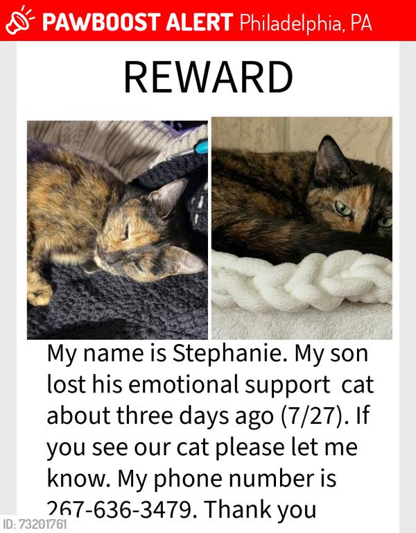 Lost Female Cat last seen Frankford and Magee, Philadelphia, PA 19149