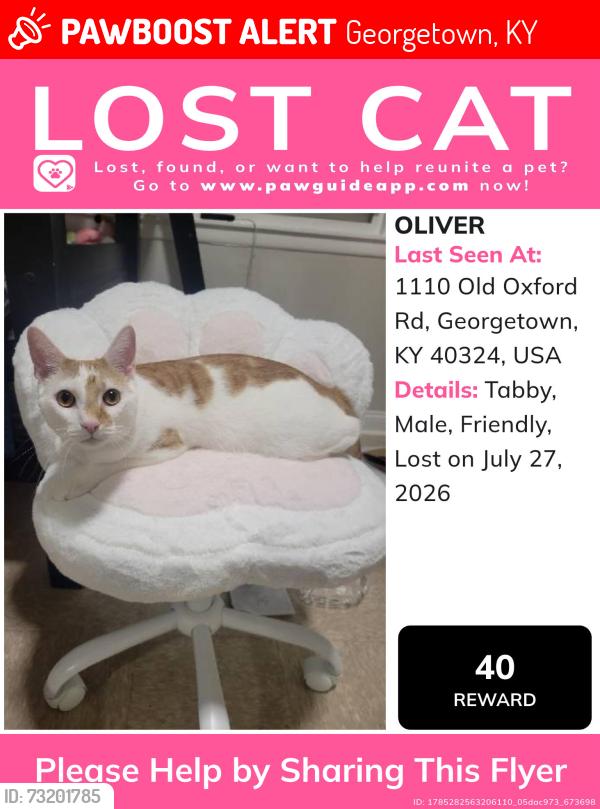 Lost Male Cat last seen Across the street from The Mills apmts, Georgetown, KY 40324