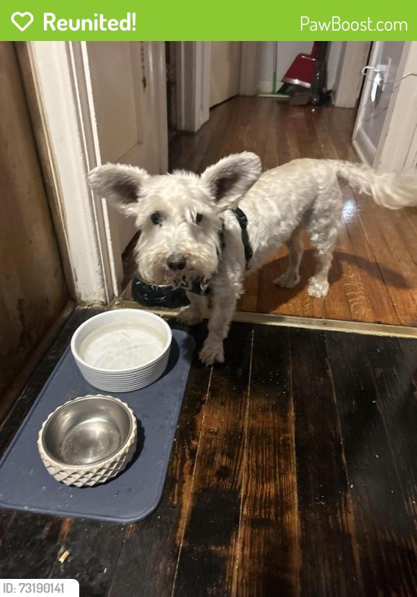 Reunited Male Dog last seen Sims Ave. and Nogalitos St., San Antonio, TX 78225