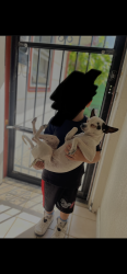 Lost Male Dog last seen Emporia st & 23rd, Aurora, CO 80010