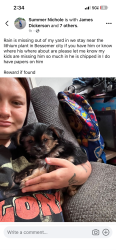 Reunited Male Dog last seen Bessemer city Kings mountain hwy, Bessemer City, NC 28016