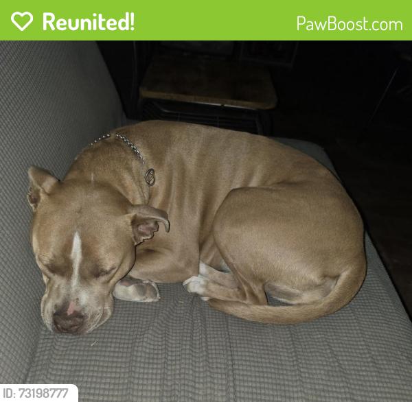 Reunited Female Dog last seen My hse, New Bern, NC 28562