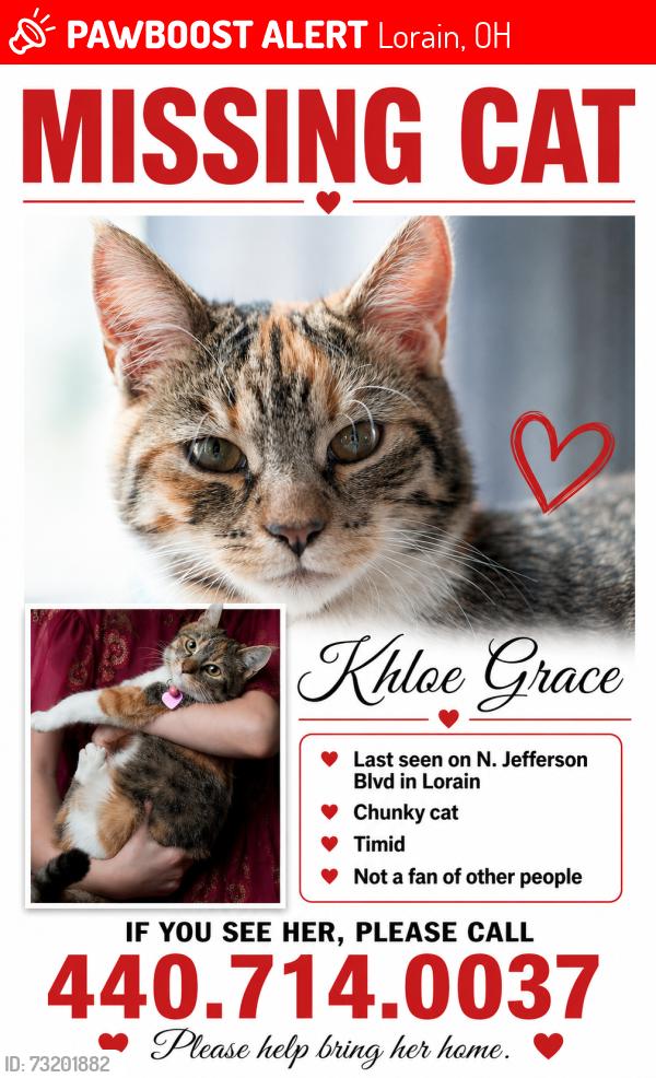 Lost Female Cat last seen Missouri Ave & Nebraska, Lorain, OH 44052