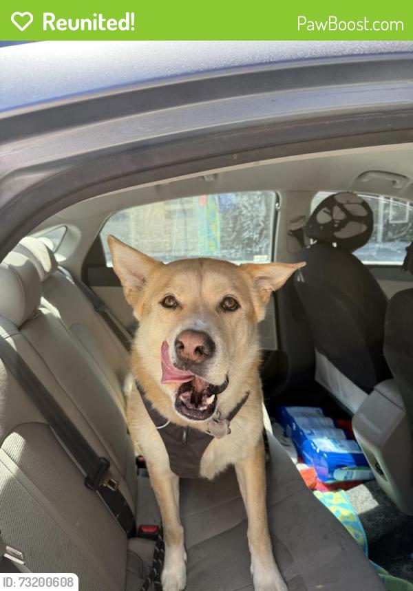 Reunited Male Dog last seen John McLaren Park, San Francisco, CA 94134