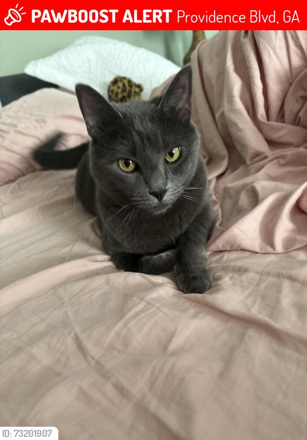 Lost Female Cat last seen Whistler Lane, Providence Blvd, GA 31210