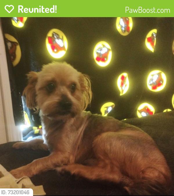 Reunited Male Dog last seen Near, San Antonio, TX 78226