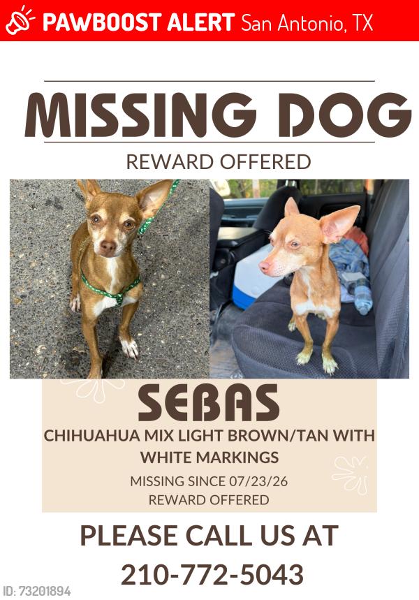 Lost Male Dog last seen S Loop 1604 W & Trumbo Rd, outskirts of San Antonio, San Antonio, TX 78264