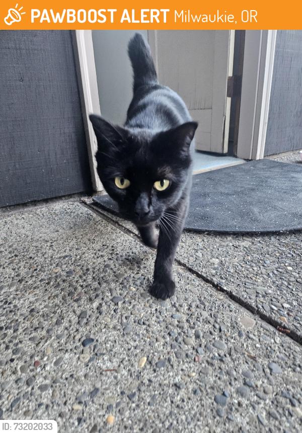 Found/Stray Female Cat last seen SE Lee Ave & SE Oak Grove Blvd, Milwaukie, OR 97267