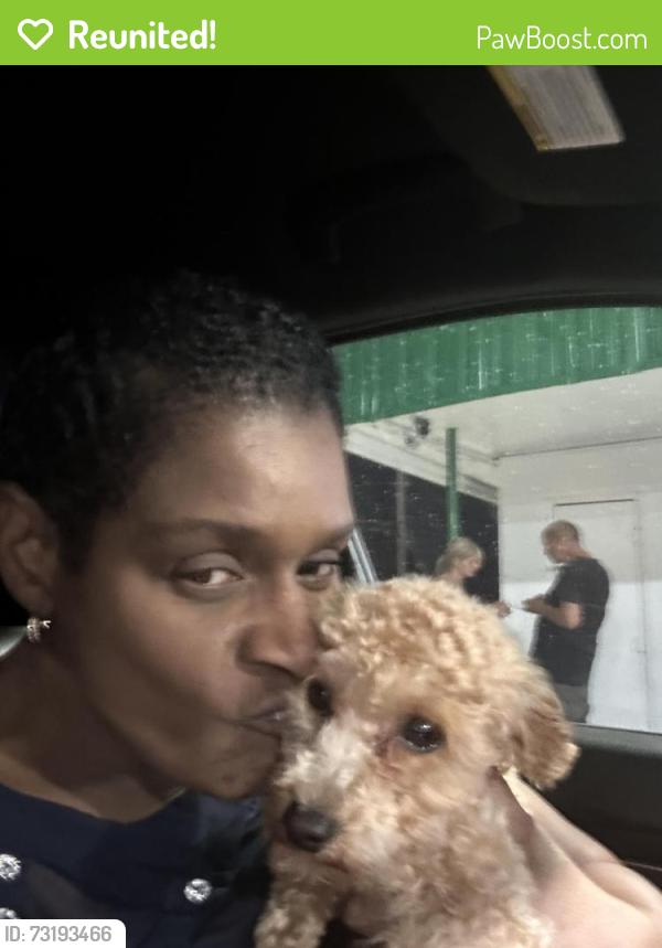 Reunited Male Dog last seen 1st street, Fort Worth, TX 76111