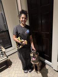 Reunited Male Dog last seen Third coast volleyball, Houston, TX 77036