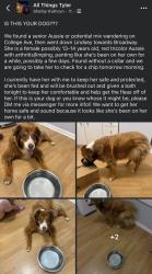 Found/Stray Female Dog last seen Lindsey Lane and College Ave, Tyler, TX 75701
