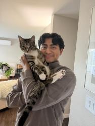 Reunited Male Cat last seen Mountain Park Recreation Center, Lake Oswego, OR 97035
