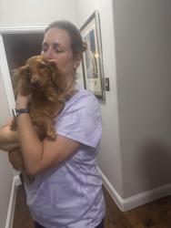 Reunited Female Dog last seen Trinity Falls (Sweetwater and San Jacinto), McKinney, TX 75071