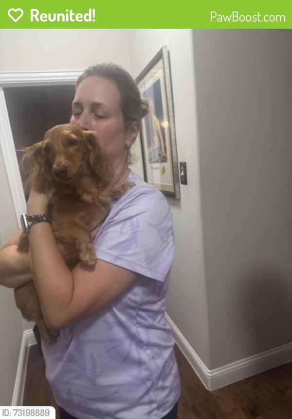 Reunited Female Dog last seen Trinity Falls (Sweetwater and San Jacinto), McKinney, TX 75071