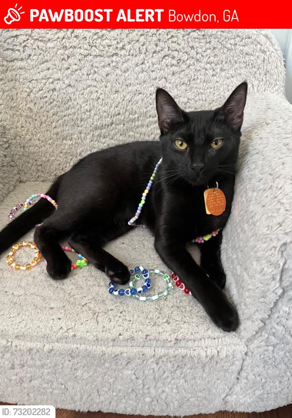 Lost Female Cat last seen dixson st ; scarlett place area, Bowdon, GA 30108