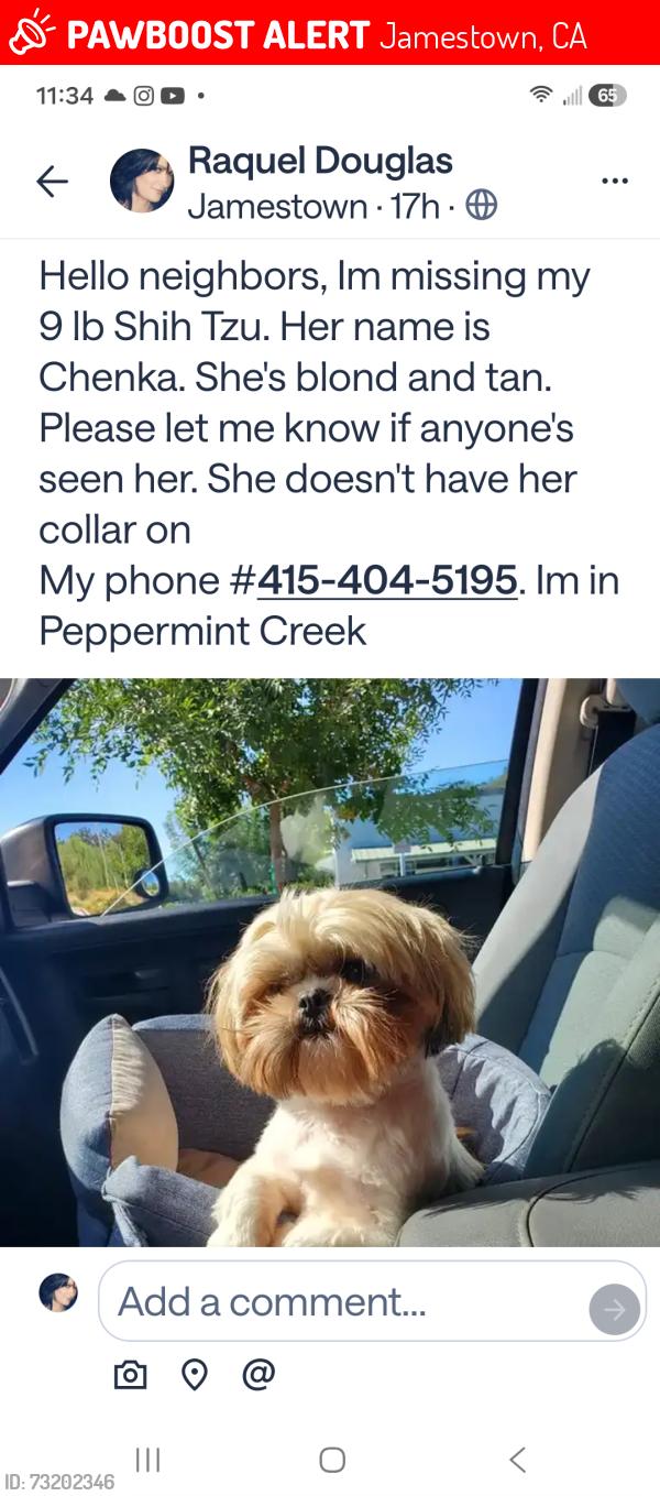 Lost Female Dog last seen Peppermint Creek Mobile Home Park, Jamestown, CA 95327