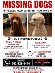 Reunited Male Dog last seen WASHINGTON AND DECATUR, Las Vegas, NV 89107
