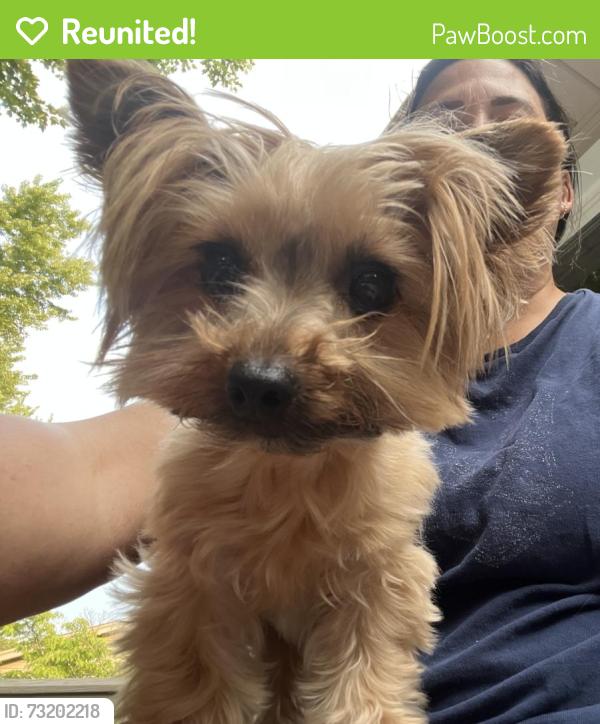 Reunited Female Dog last seen Carlisle, Youngstown, OH 44511
