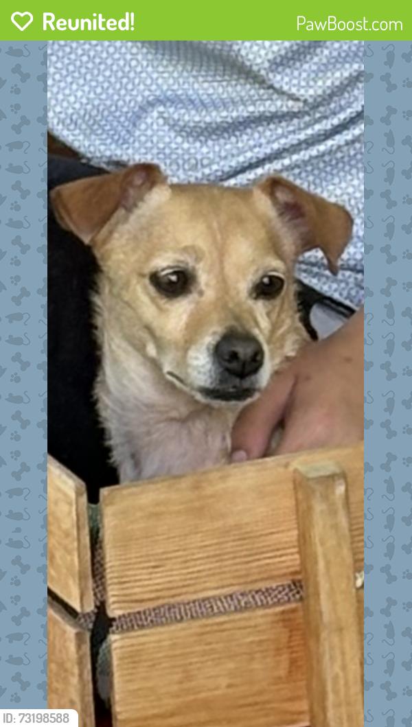 Reunited Female Dog last seen Turner Road, Creedmoor, NC, Granville County, NC 27522