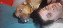 Lost Male Dog last seen Na, Morley, MI 49336
