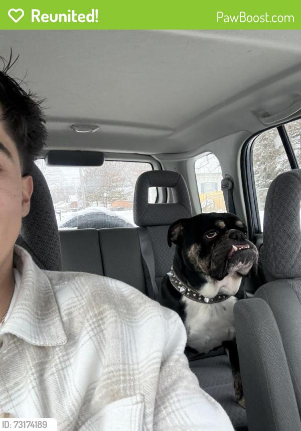 Reunited Male Dog last seen Near harp st se, Grand Rapids, MI 49548
