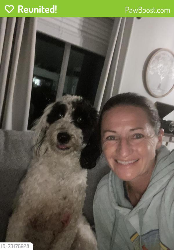 Reunited Female Dog last seen Victory and Black Cat, Nampa, ID 83651