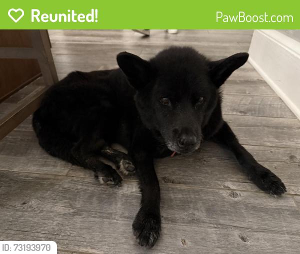 Reunited Unknown Dog last seen Hannabas Lane, Washington County, TN 37690