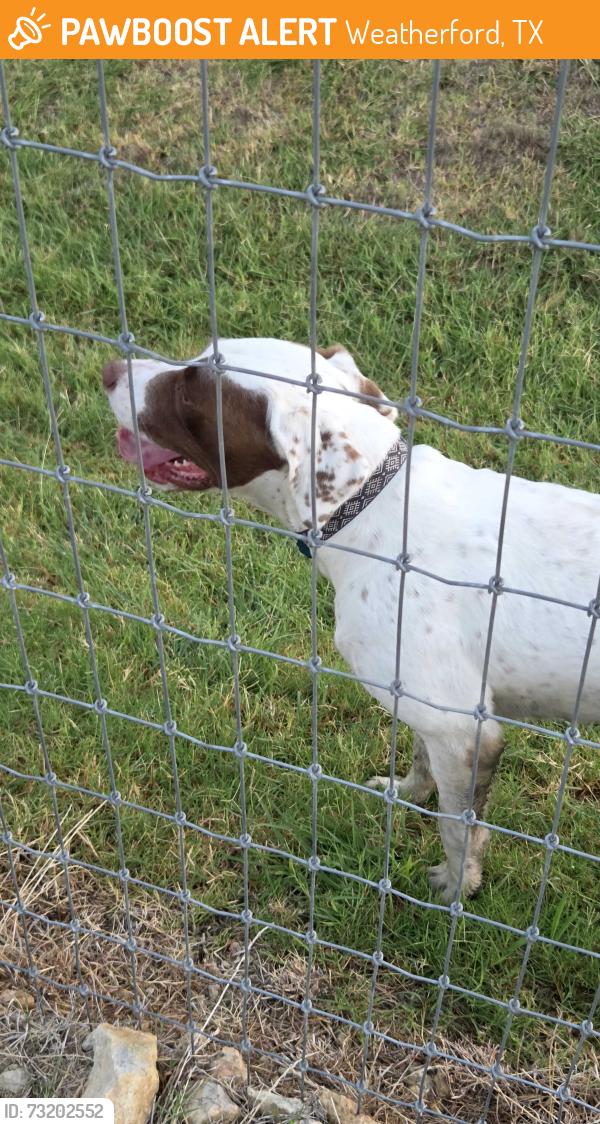 Found/Stray Male Dog last seen Rocky Ridge ests, Weatherford, TX 76085