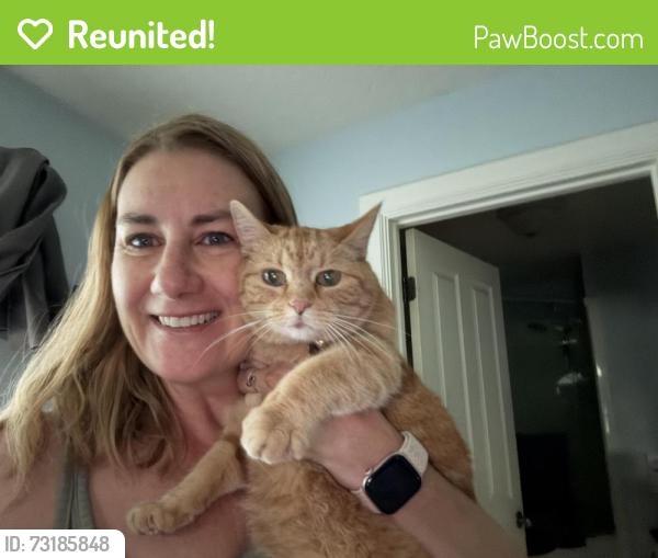 Reunited Female Cat last seen Hamlet park, Midway, UT 84049