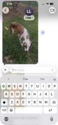 Reunited Female Dog last seen 169th W Ave & 171st St, Sapulpa, OK 74066