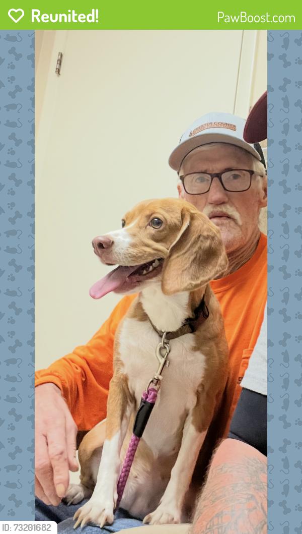 Reunited Female Dog last seen Near Johnston Dr, Pineville, NC 28134