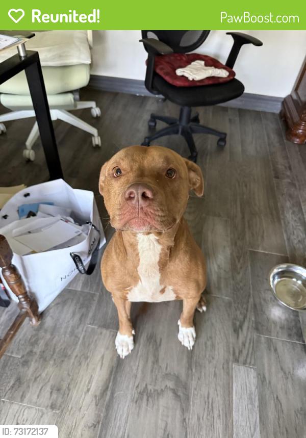 Reunited Male Dog last seen Rothwood Rd, Texas 77389, USA, Harris County, TX 77389