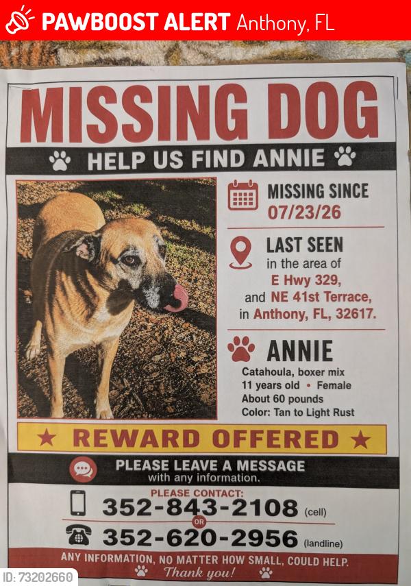 Lost Female Dog last seen E Hwy 329 and NE 41 Terrace, Anthony, FL 32617