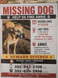 Lost Female Dog last seen E Hwy 329 and NE 41 Terrace, Anthony, FL 32617