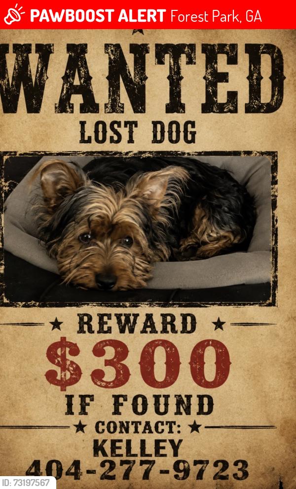 Lost Male Dog last seen College st, Forest Park, GA 30297