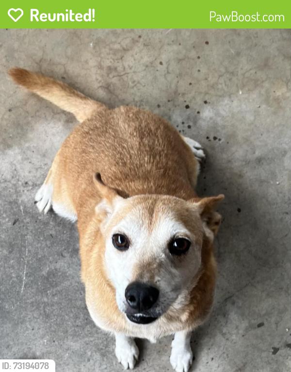Reunited Unknown Dog last seen Acquadome, Decatur, AL 35601
