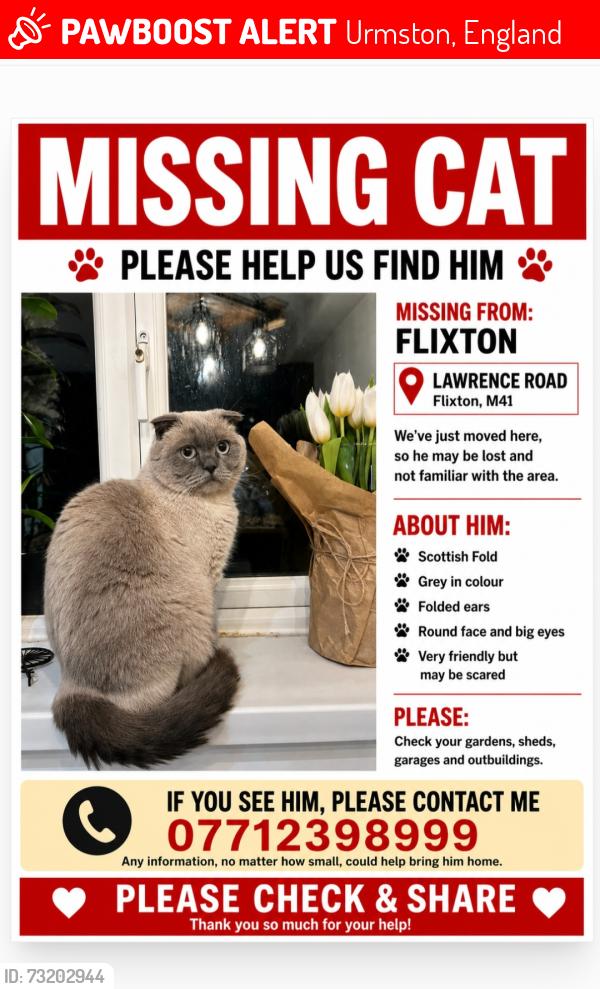 Lost Male Cat last seen Lawrence road, Urmston, England 