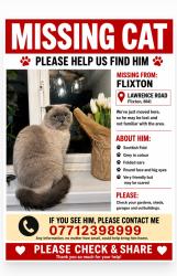 Lost Male Cat last seen Lawrence road, Urmston, England 