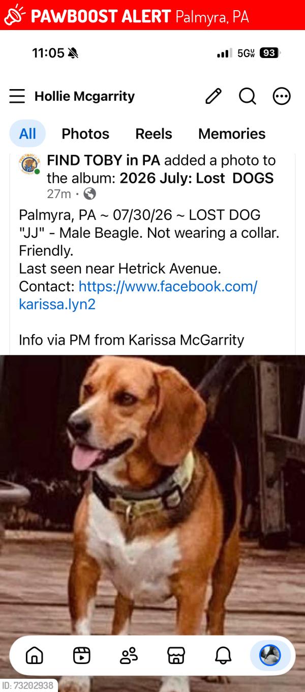 Lost Male Dog last seen s Hetrick Ave, palmyra pa 17078, Palmyra, PA 17078