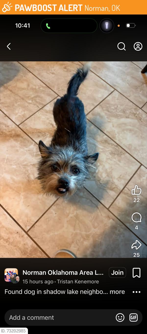 Found/Stray Male Dog last seen Shadow lake neighborhood, Norman, OK 73071