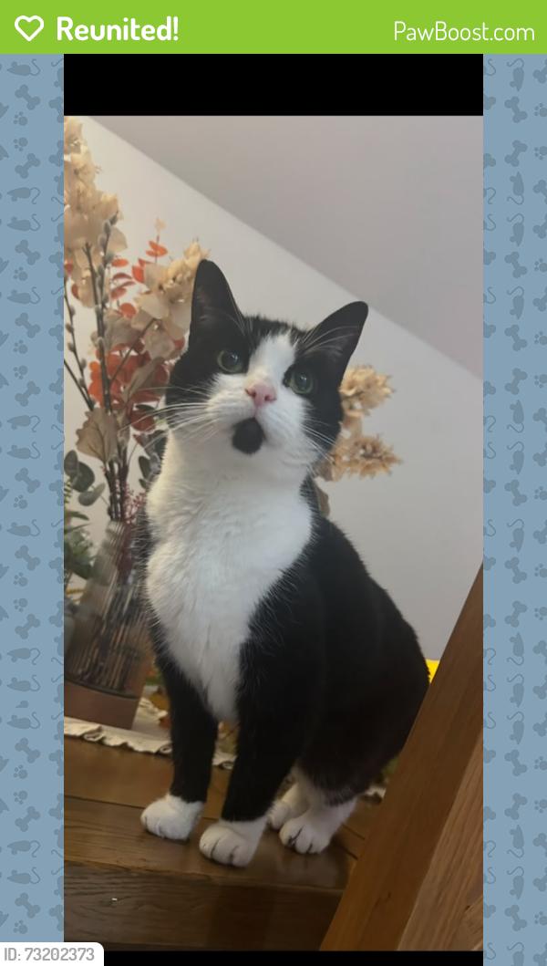 Reunited Female Cat last seen On the corner of Cheviots Road and Cleveland’s Road, Shaw, England OL2 7QS